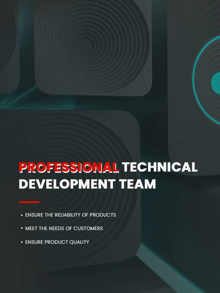 Professional technical development team